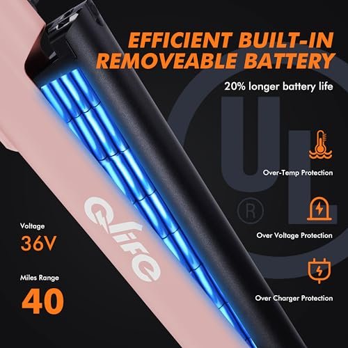 Can the Qlife Cityone Electric Bike deliver a top-notch commuting experience review?