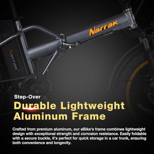 Fat Tire Folding Electric Bike, 48V & 624Wh Lithium Removable Battery, Peak 1100W Brushless Motor, Max Speed 28Mph, M5 Large LCD Display, Suspension, Step-Over/Thru Frame
