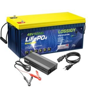 LOSSIGY 48V 100AH Golf Cart LiFePO4 Battery with 48 Volt 10A Lithium Charger, Prefect for RV Solar System, Built in 200A Bluetooth BMS, Peak Current 1000A(3-5s), 10 Yrs Lifespan
