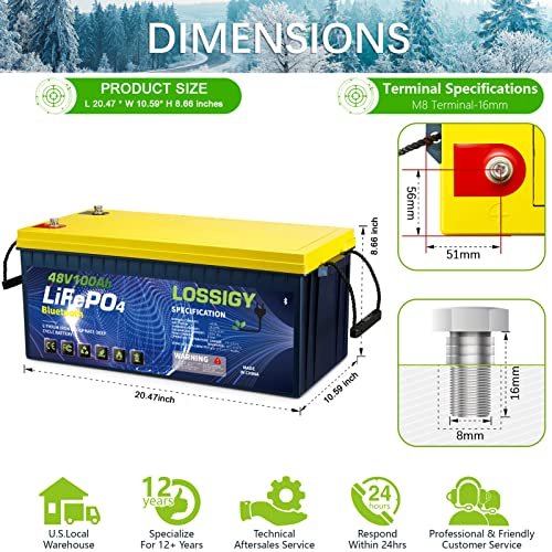 LOSSIGY 48V 100AH Golf Cart LiFePO4 Battery with 48 Volt 10A Lithium Charger, Prefect for RV Solar System, Built in 200A Bluetooth BMS, Peak Current 1000A(3-5s), 10 Yrs Lifespan