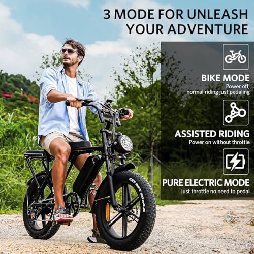 V8 Electric Bike Adults, Fat Tire E Bike with 750W Brushless Motor 48V 15Ah Removable Larger Battery, 20" x 4.0 Electric Mountain Bike, 31MPH Max Speed, Shi-mano 7 Speed Adult...