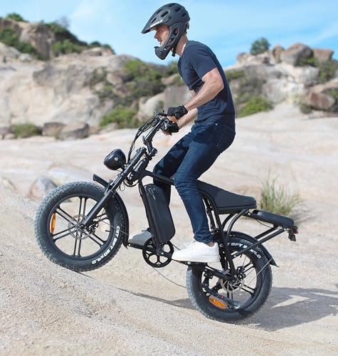 V8 Electric Bike Adults, Fat Tire E Bike with 750W Brushless Motor 48V 15Ah Removable Larger Battery, 20" x 4.0 Electric Mountain Bike, 31MPH Max Speed, Shi-mano 7 Speed Adult...