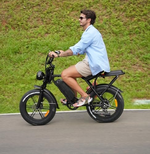 V8 Electric Bike Adults, Fat Tire E Bike with 750W Brushless Motor 48V 15Ah Removable Larger Battery, 20" x 4.0 Electric Mountain Bike, 31MPH Max Speed, Shi-mano 7 Speed Adult...