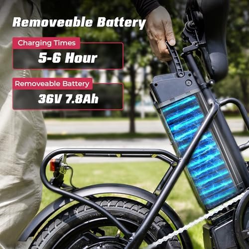 Why choose the Windone S14 foldable electric bike? A detailed review awaits!